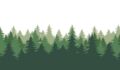 Photo illustration of forest of evergreen trees.